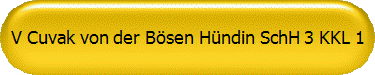 V Cuvak von der B�sen H�ndin SchH 3 KKL 1